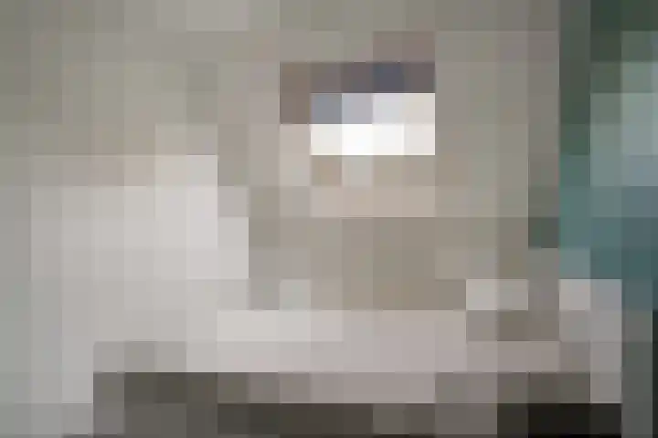 Gravekamp 67 Huissen thumbnail 18