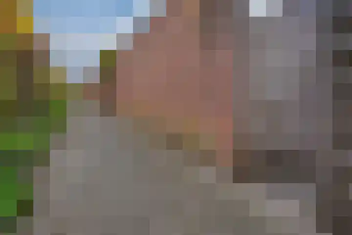 Gravekamp 67 Huissen thumbnail 36