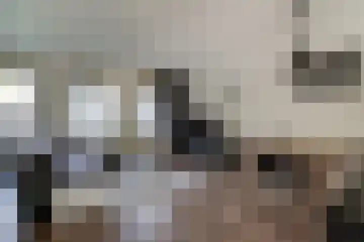 Gravekamp 67 Huissen thumbnail 7