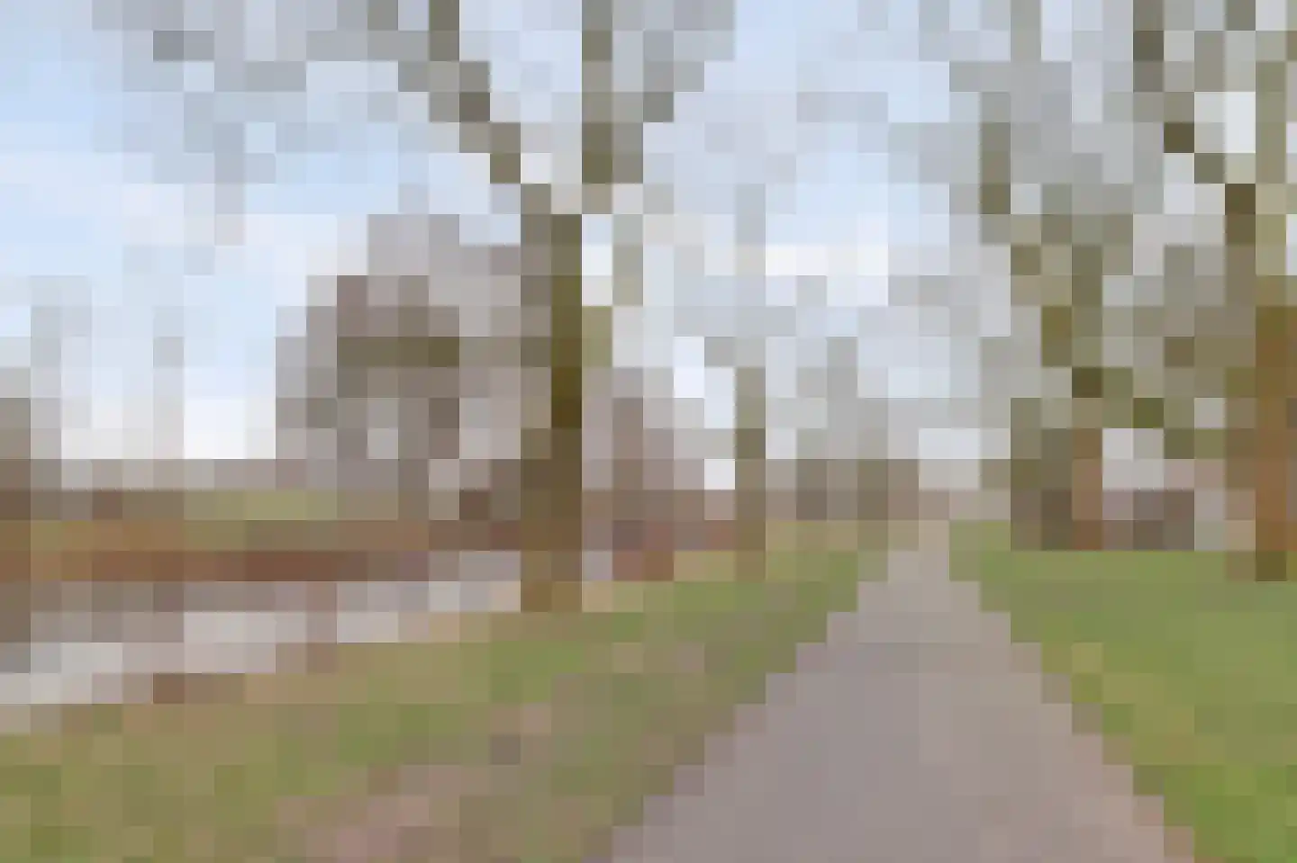 Gravekamp 8 dans Huissen