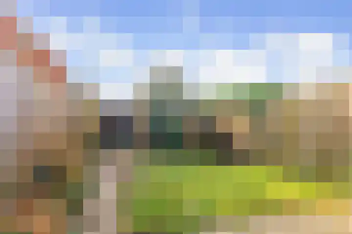 Gravekamp 8 Huissen thumbnail 5