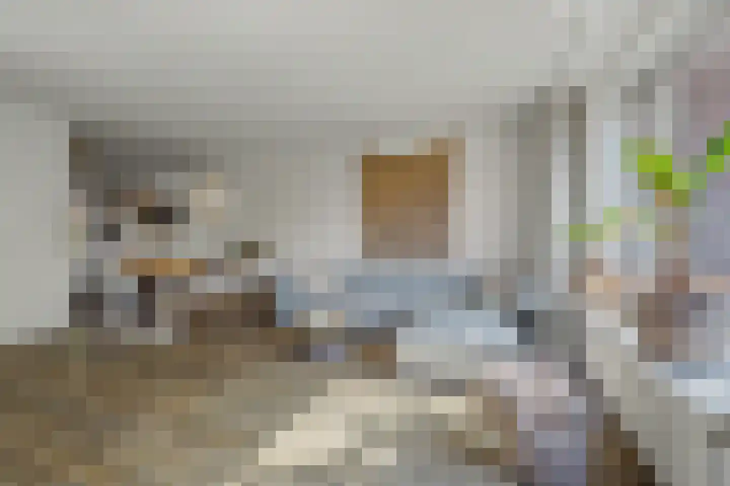 Gravekamp 95 Huissen thumbnail 10