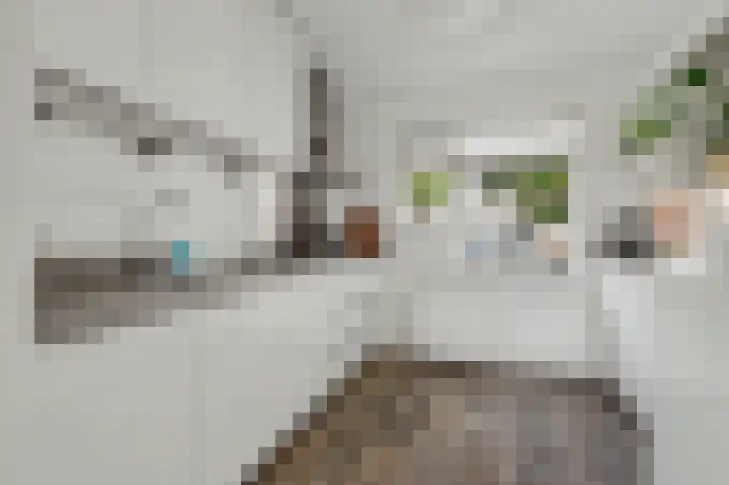 Gravekamp 95 Huissen thumbnail 14