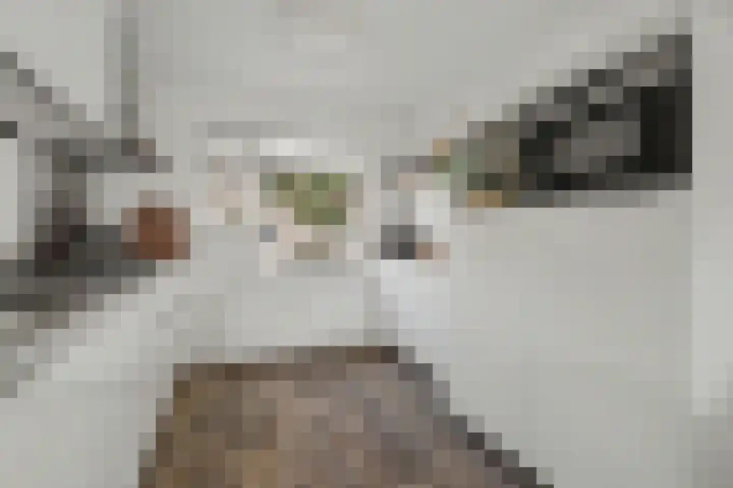 Gravekamp 95 Huissen thumbnail 15