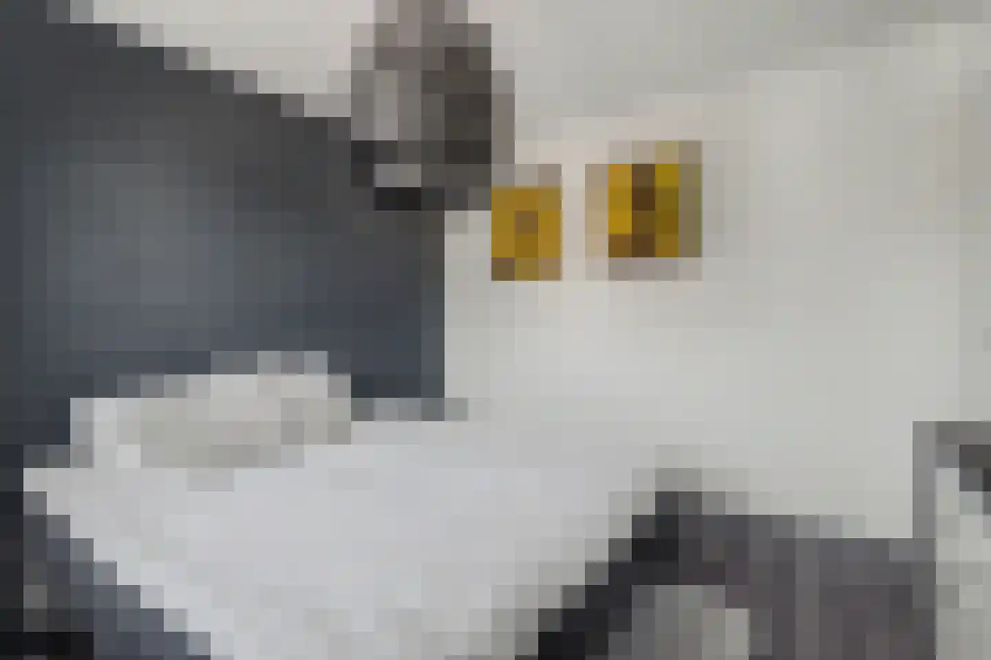 Gravekamp 95 Huissen thumbnail 19
