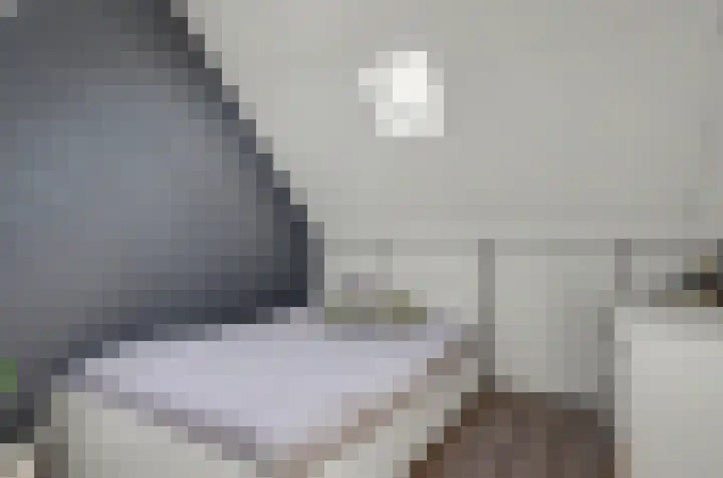 Gravekamp 95 Huissen thumbnail 26