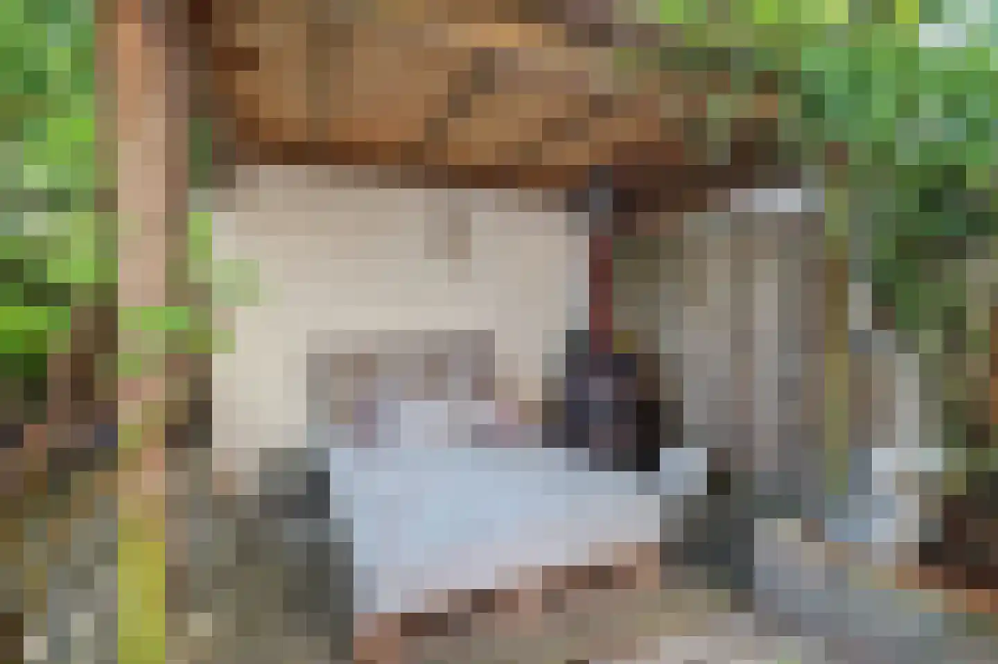 Gravekamp 95 Huissen thumbnail 33