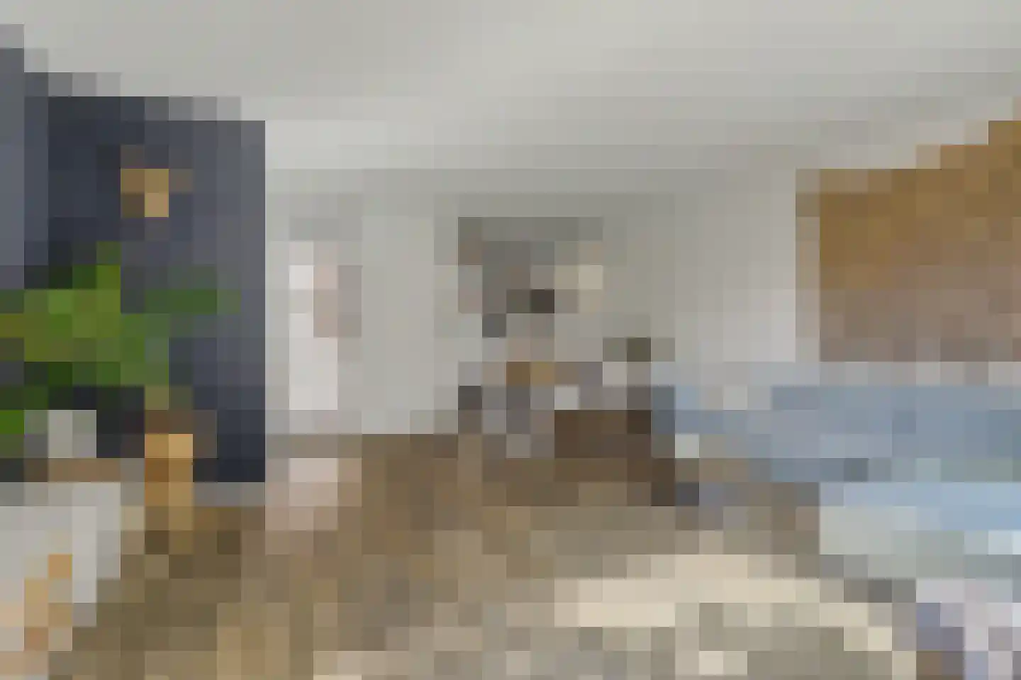 Gravekamp 95 Huissen thumbnail 9