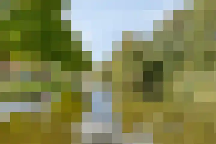 Gravelandstraat 41 Volendam thumbnail 33
