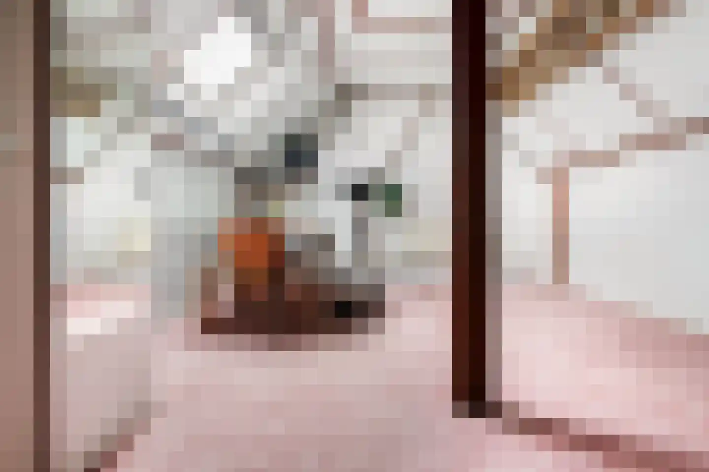 Gravelandstraat 94 Volendam thumbnail 24