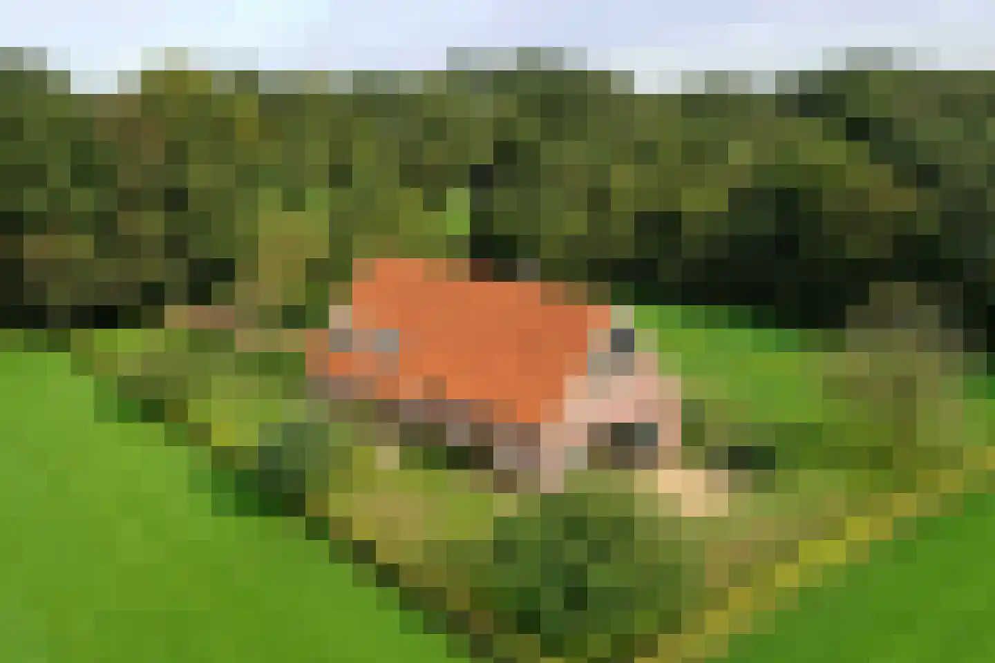 Gravenallee 5 a Almelo thumbnail 10