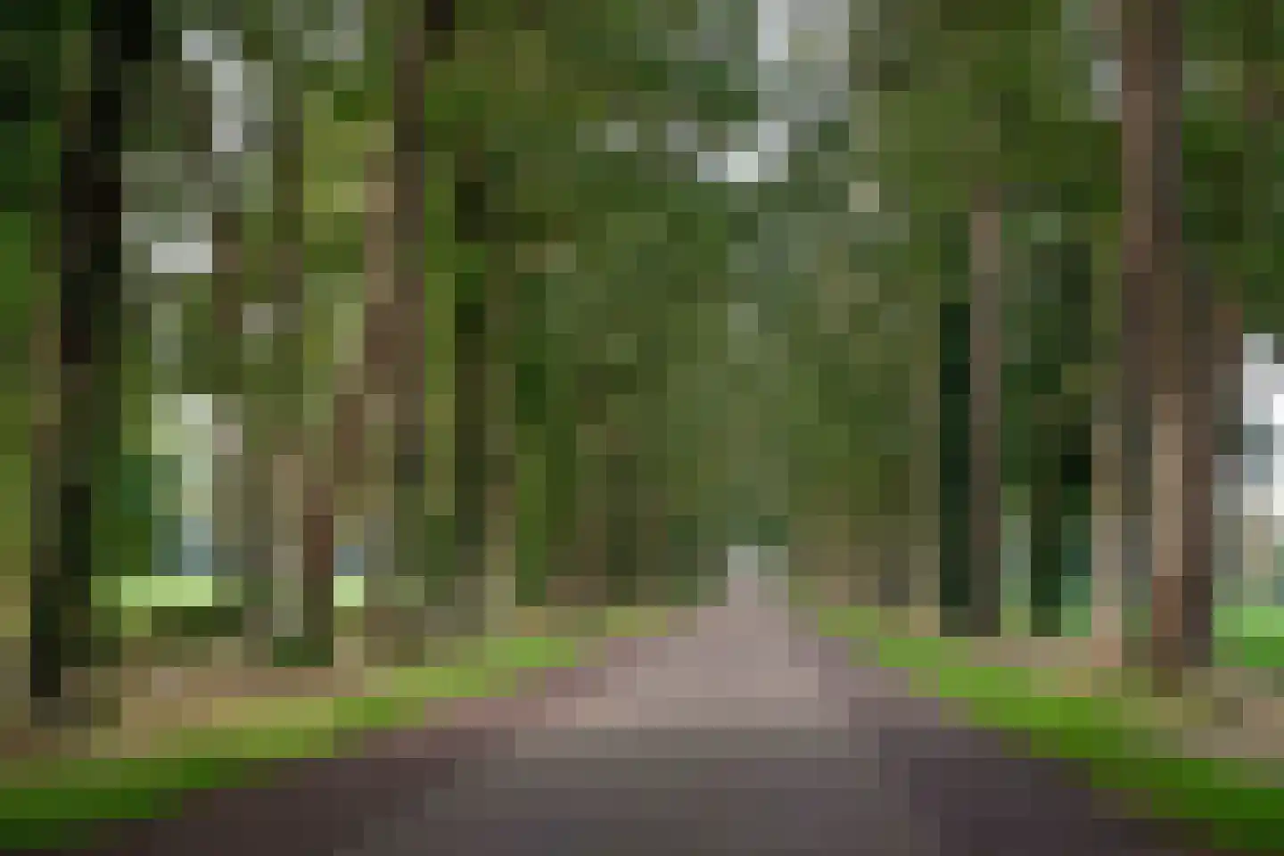 Gravenallee 5 a Almelo thumbnail 11