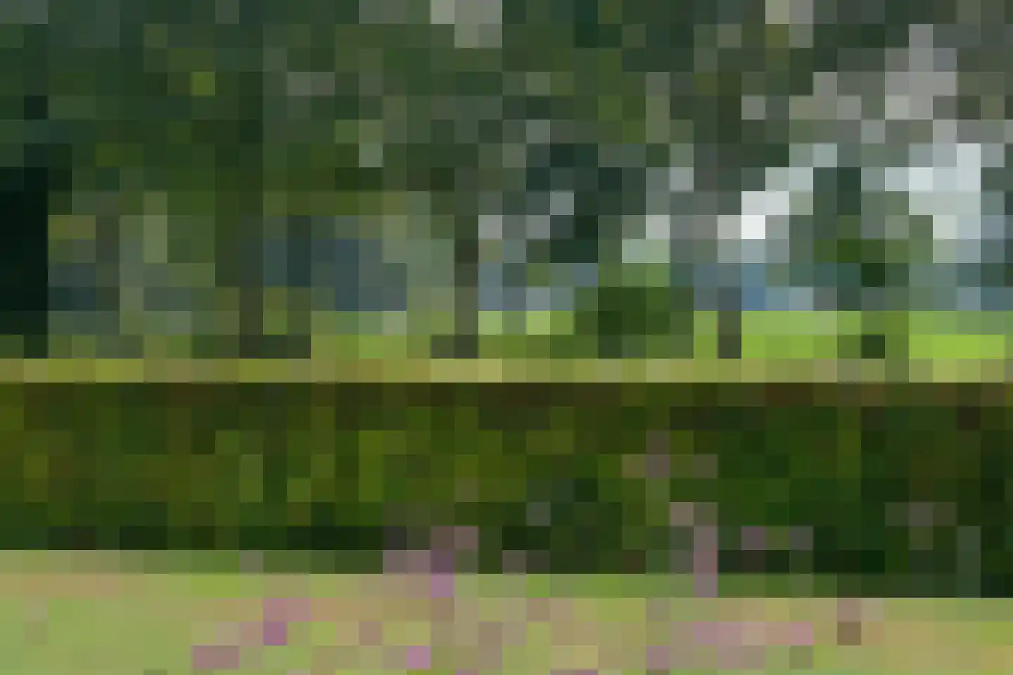 Gravenallee 5 a Almelo thumbnail 23