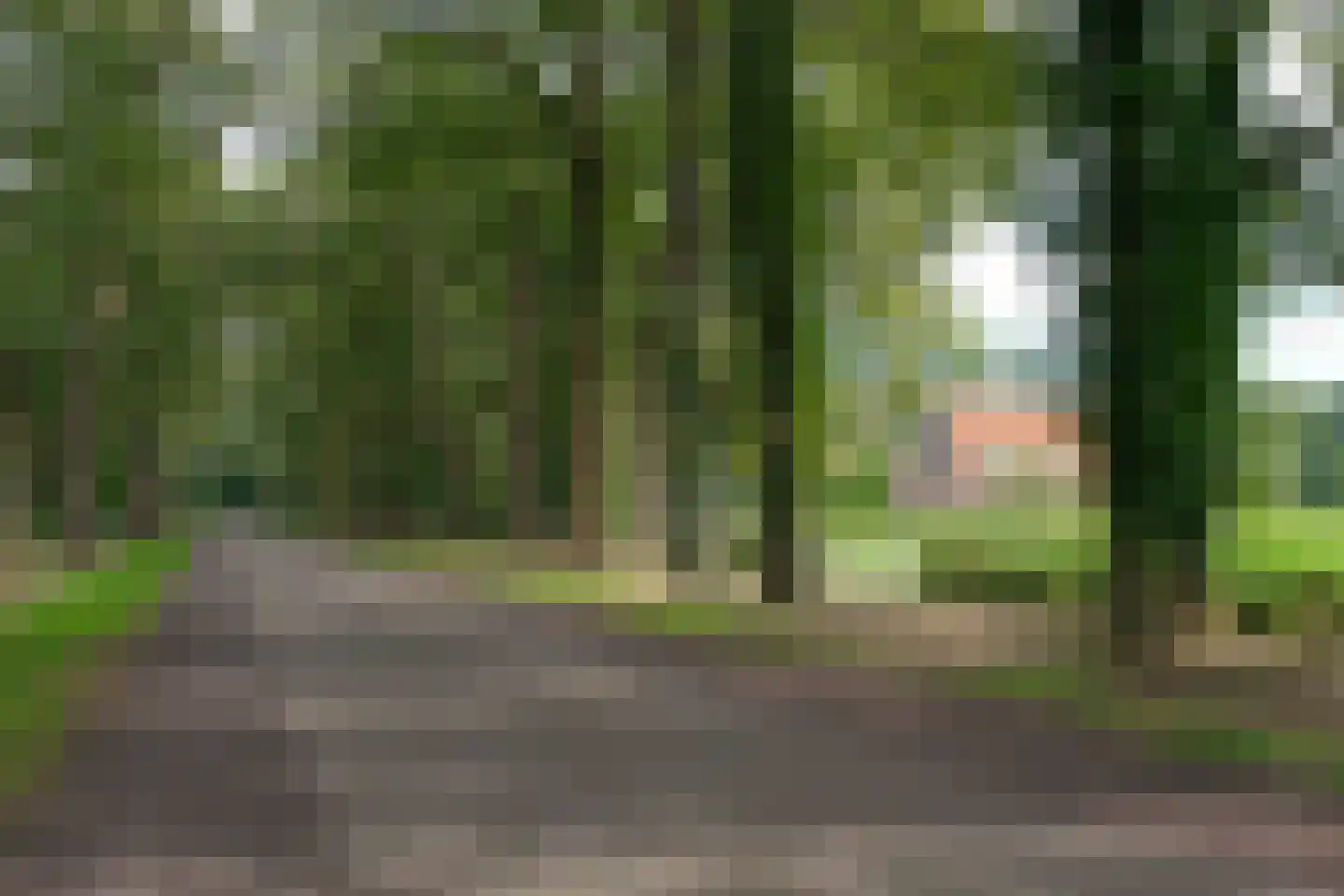 Gravenallee 5 a Almelo thumbnail 24