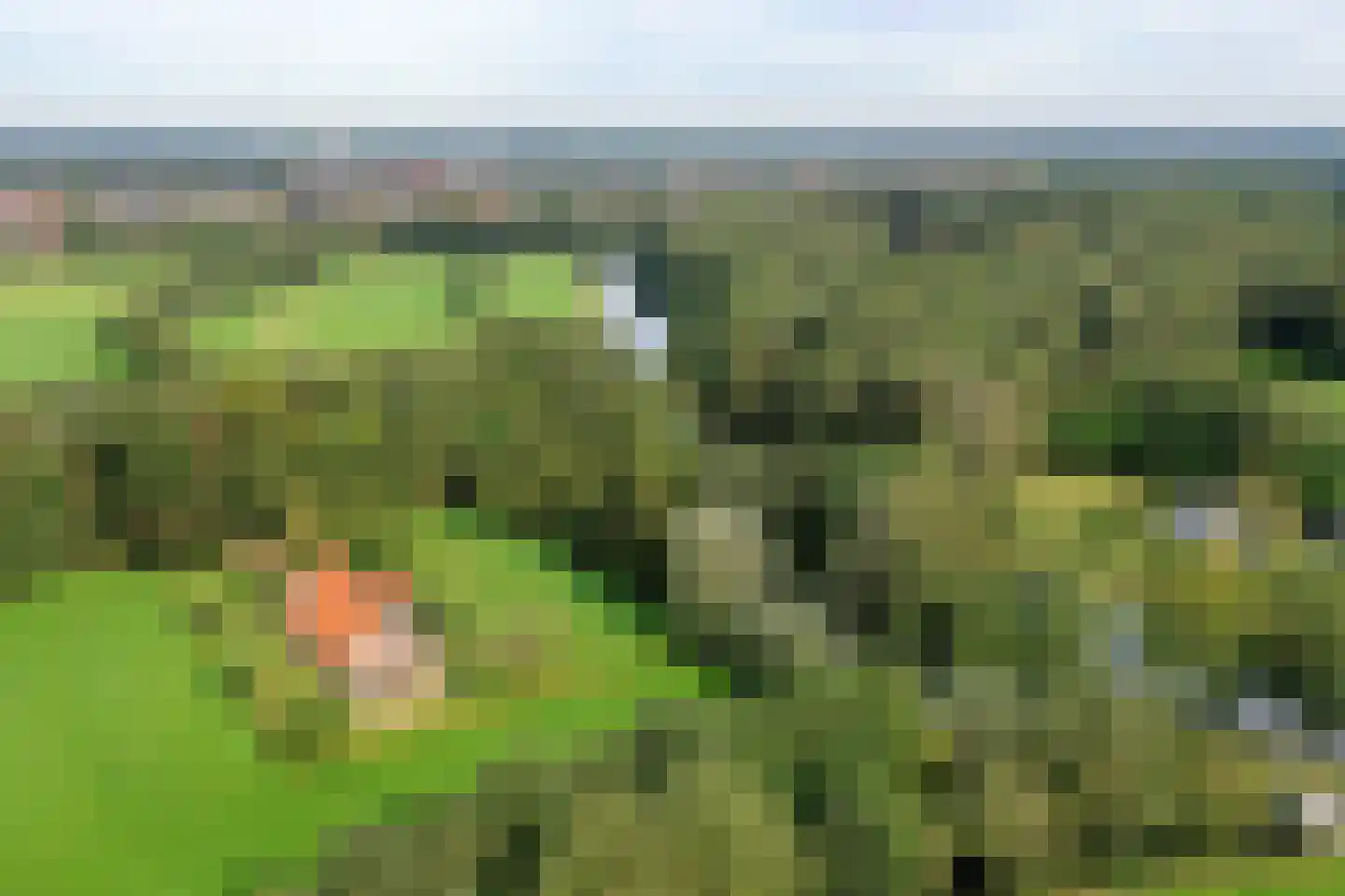 Gravenallee 5 a Almelo thumbnail 8