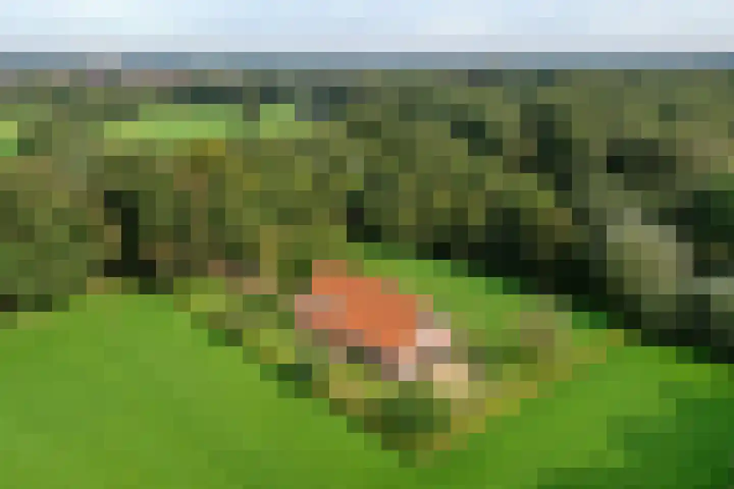 Gravenallee 5 a Almelo thumbnail 9