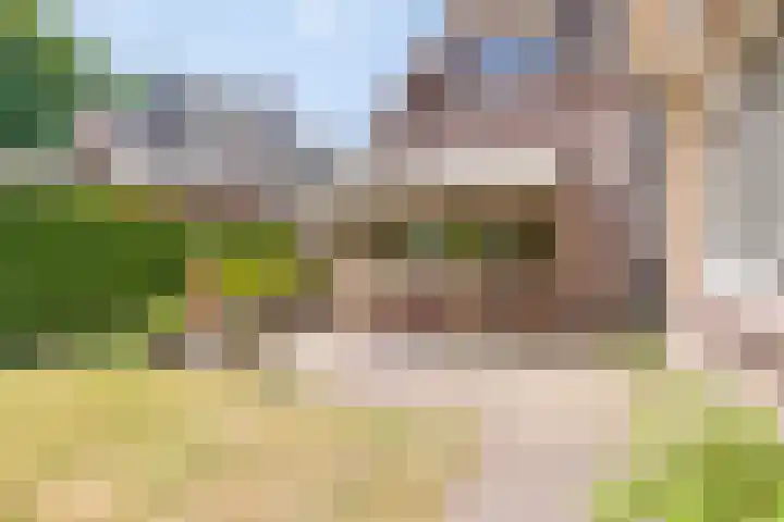 Gravenallee 5 Saasveld thumbnail 38