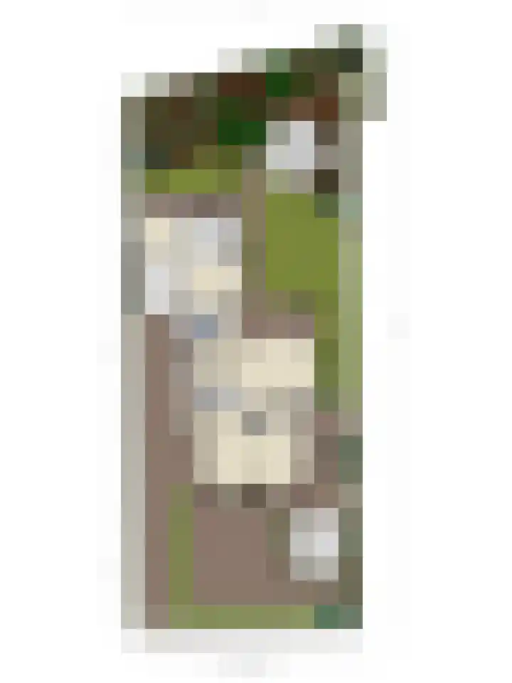 Gravenallee 5 Saasveld thumbnail 43
