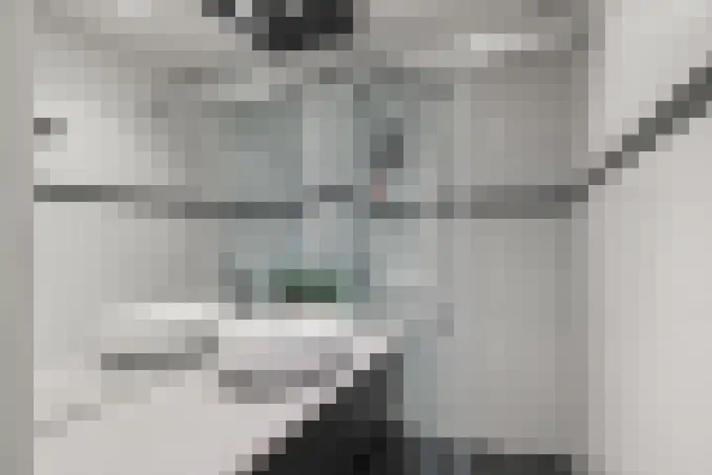 Gravenborch 14 Houten thumbnail 30