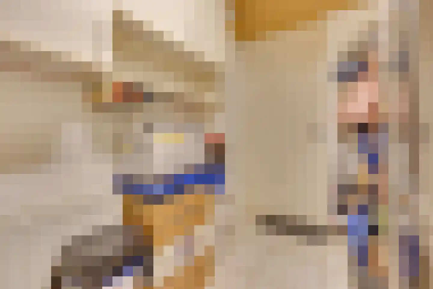 Gravenborch 18 Houten thumbnail 38