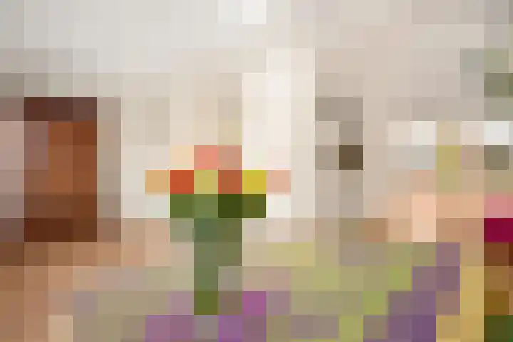 Gravenborch 56 Houten thumbnail 15