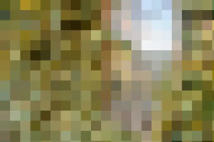 Gravenborch 56 Houten thumbnail 32