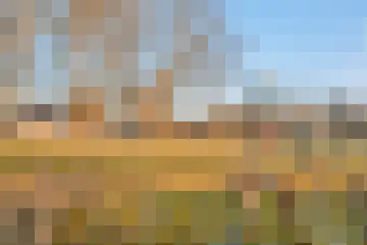 Gravenborch 56 Houten thumbnail 36