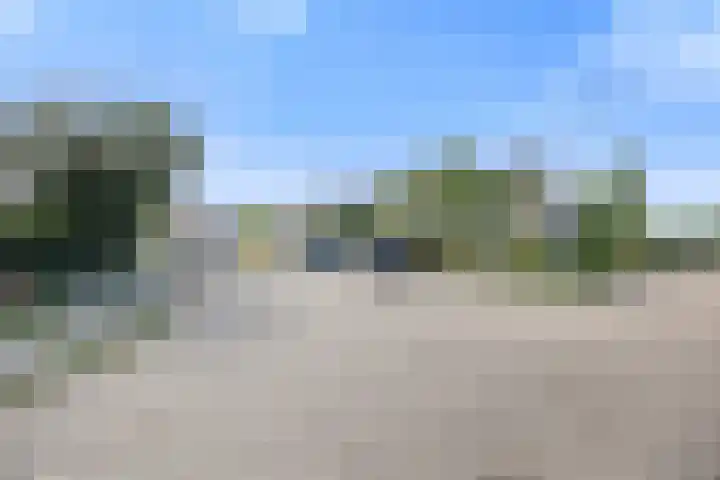 Gravendaal 11 Deest thumbnail 34