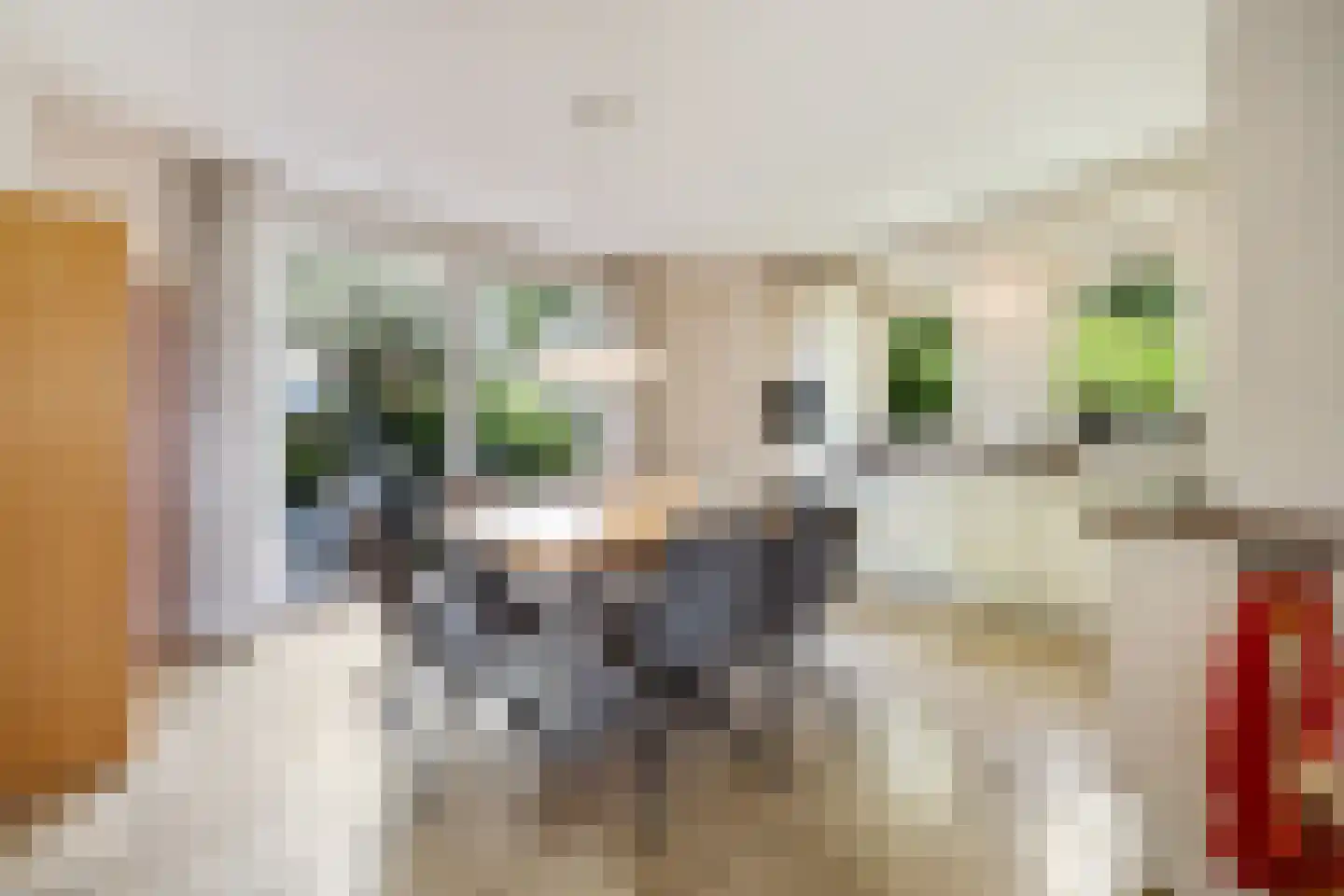 Gravendaal 21 Deest thumbnail 13