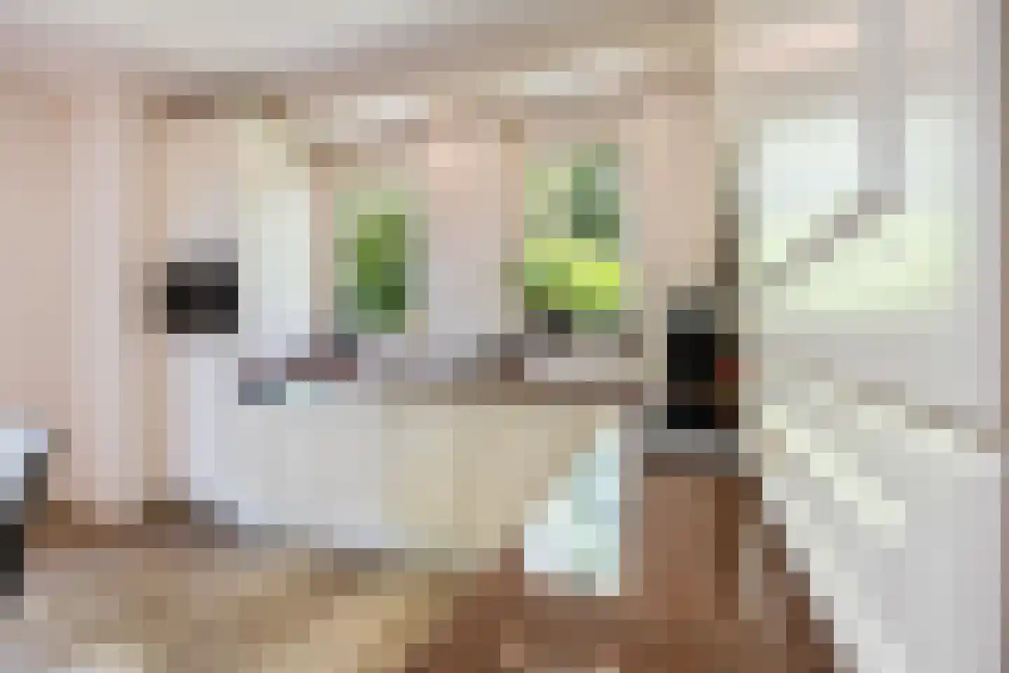 Gravendaal 21 Deest thumbnail 14