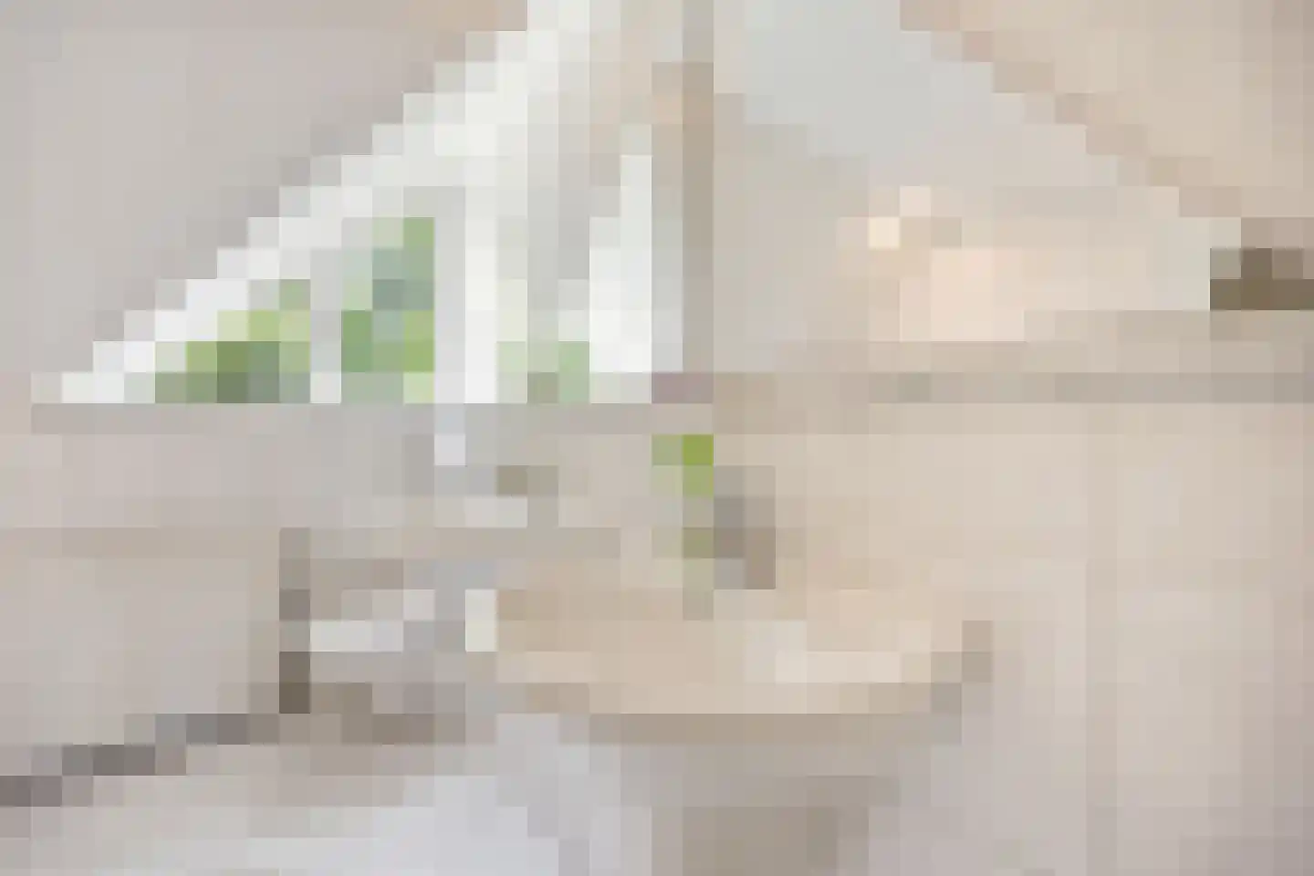 Gravendaal 21 Deest thumbnail 34