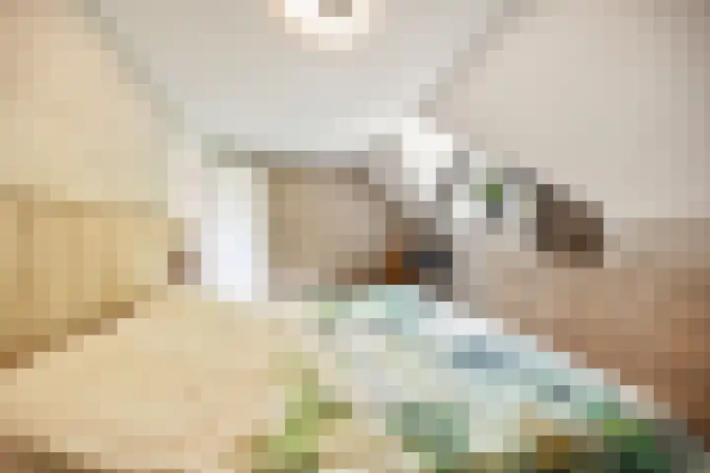 Gravendaal 21 Deest thumbnail 38