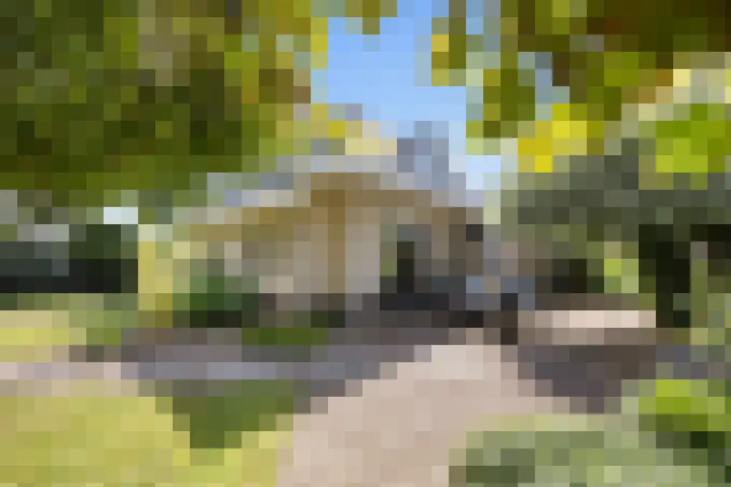 Gravendaal 21 Deest thumbnail 4