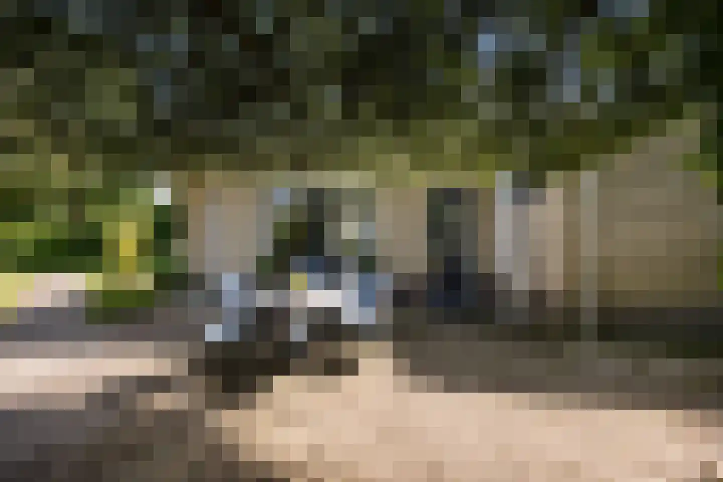 Gravendaal 21 Deest thumbnail 46
