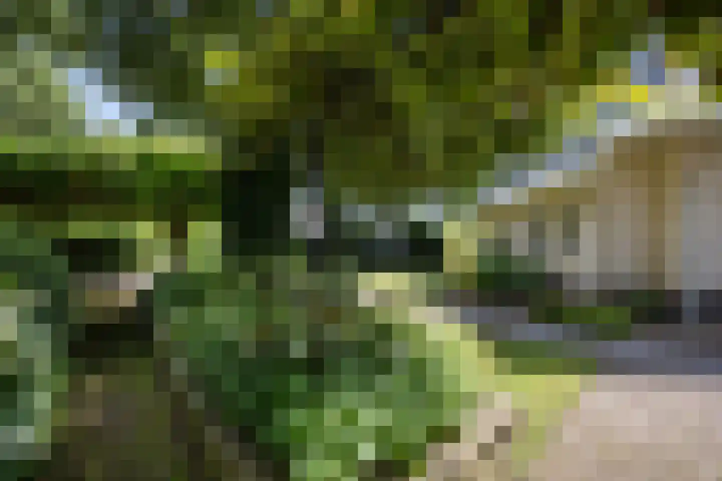 Gravendaal 21 Deest thumbnail 48