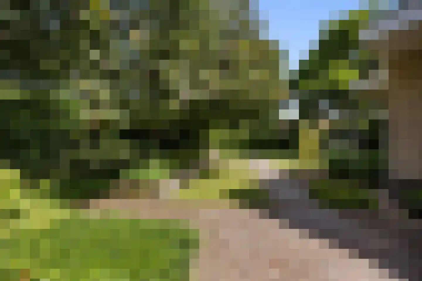 Gravendaal 21 Deest thumbnail 49