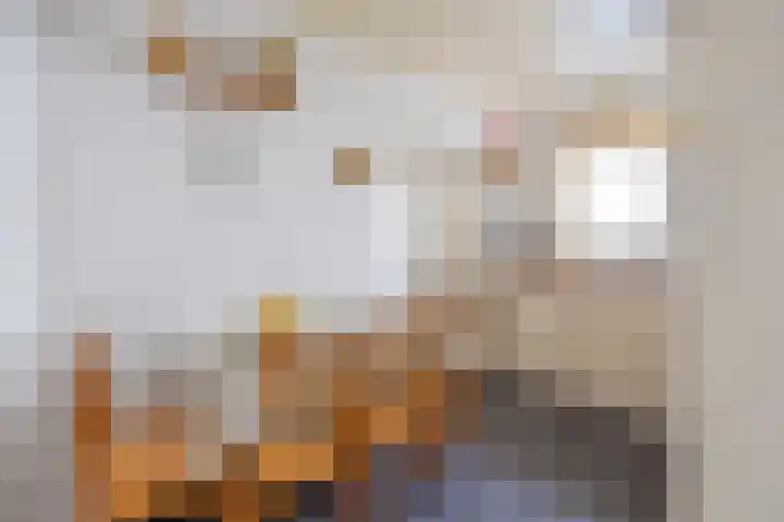 Gravendaal 25 Deest thumbnail 10