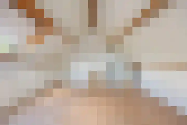 Gravendaal 25 Deest thumbnail 28