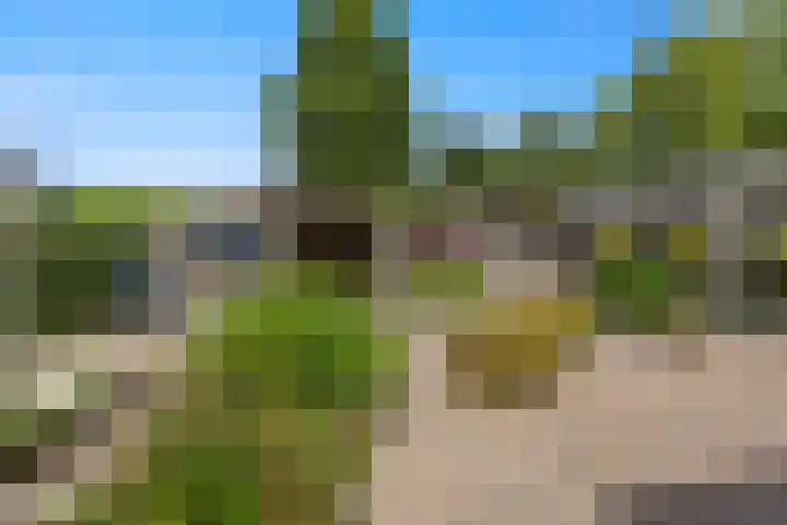 Gravendaal 25 Deest thumbnail 34