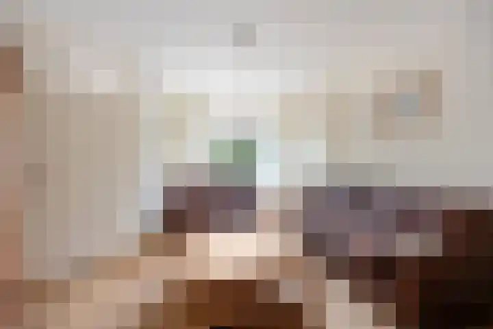 Gravendaal 25 Deest thumbnail 6