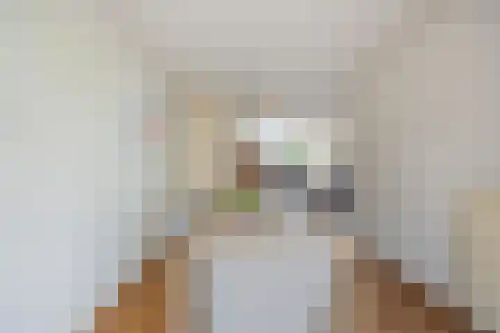 Gravendaal 25 Deest thumbnail 8