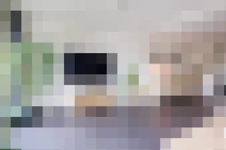 Gravendaal 29 Deest thumbnail 11