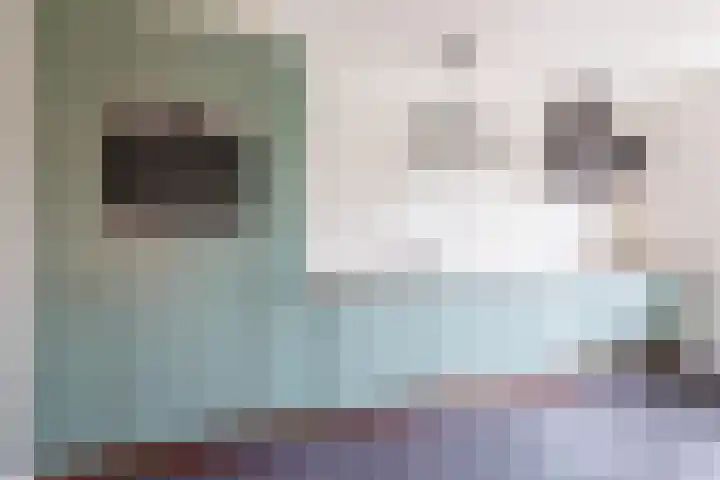 Gravendaal 29 Deest thumbnail 15