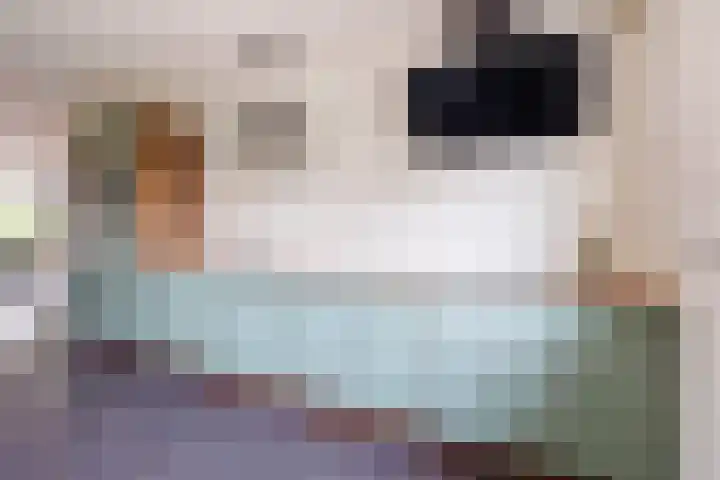 Gravendaal 29 Deest thumbnail 16