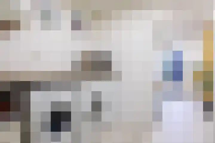 Gravendaal 29 Deest thumbnail 19