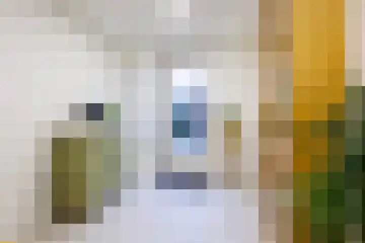 Gravendaal 29 Deest thumbnail 20