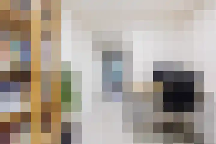 Gravendaal 29 Deest thumbnail 21