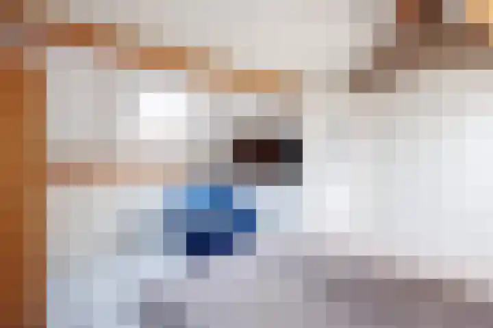 Gravendaal 29 Deest thumbnail 39