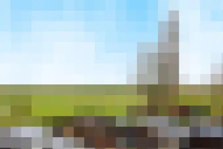 Gravendaal 29 Deest thumbnail 41