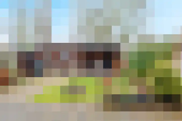 Gravendaal 29 Deest thumbnail 43